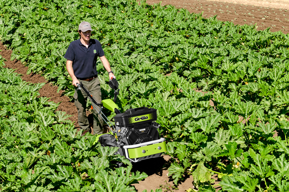 MOTOCULTEUR GRILLO G131BC ZOOM