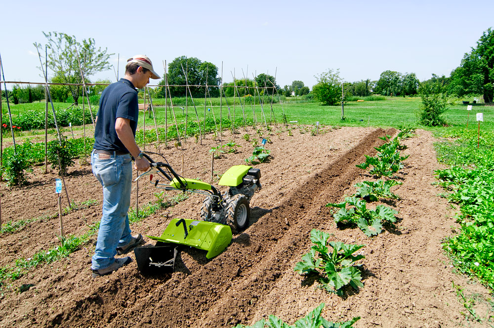 MOTOCULTEUR GRILLO G55 EN ACTION