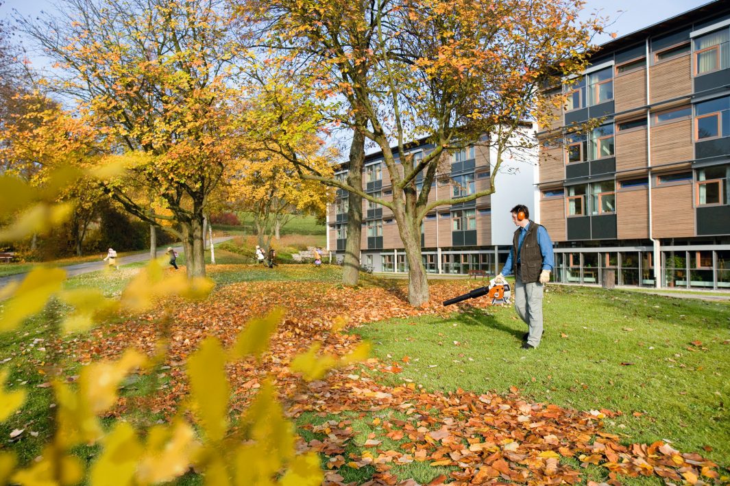 SOUFFLEUR THERMIQUE STIHL BG66-D BONHOMME