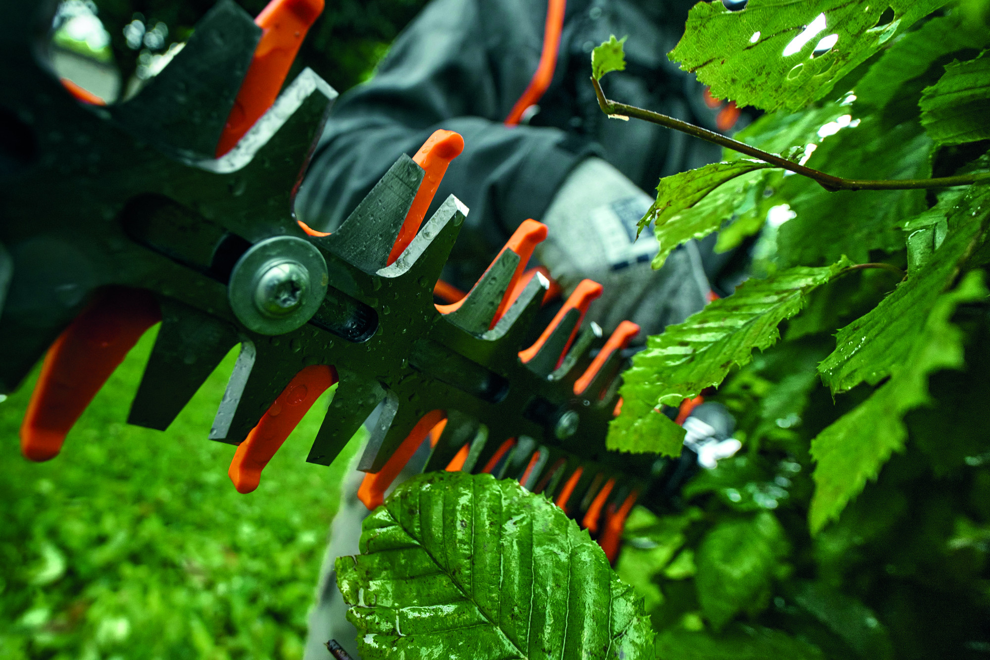 TAILLE HAIES A BATTERIE PELLENC HELION 3 ZOOM ZOOM