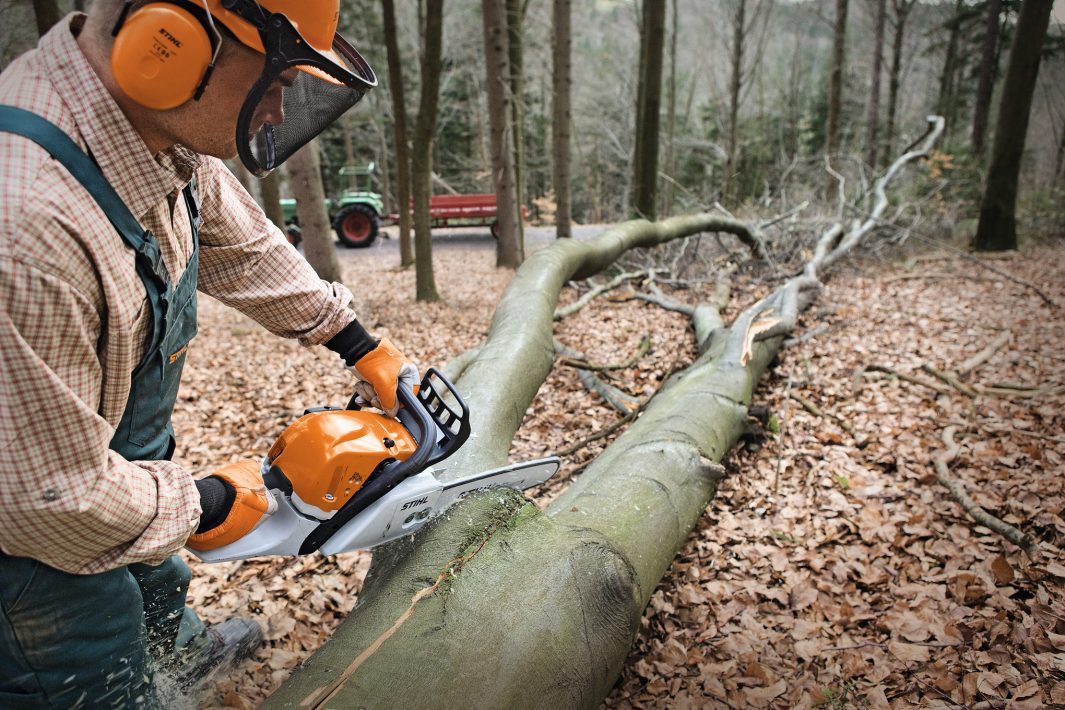 TRONCONNEUSE STIHL MS 391 BONHOMME