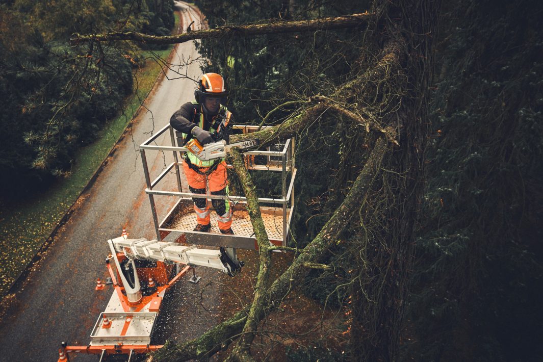 TRONCONNEUSE STIHL MSA 190 T BONHOMME