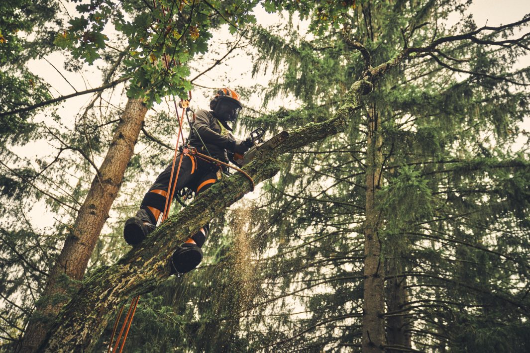 TRONCONNEUSE STIHL MSA 220 TC-O BONHOMME